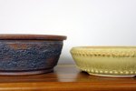 pots de bonsaï