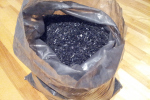biochar
