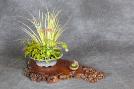 kusamono
