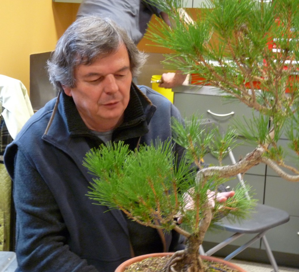 Activités - Stages -Société de bonsaï et de penjing de Montréal