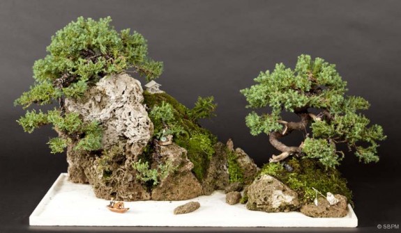 Penjing - adhésion pour devenir membre de la SBPM Penjing - adhésion pour devenir membre de laSociété de bonsaï et de penjing de Montréal