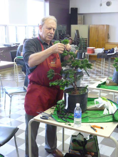 Atelier d’enrichissement pour N2-N3