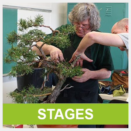 Stages