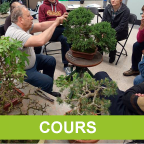 Cours