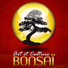 Art et Culture Bonsaï